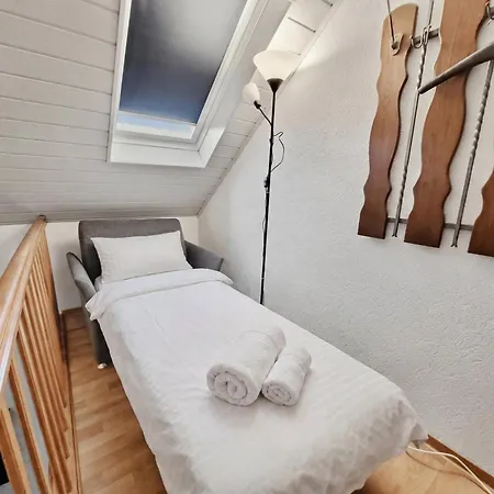דירה Bat Solutions Trier-euren - Alles Was Ein Nicht Bietet - 10 Min Zur Altstadt - 98 Qm Scheune Fuer 9 Personen Mit Sternenhimmel, Wintergarten, Grill Und Kino - Barrierefrei Dank Lift & Auffahrt